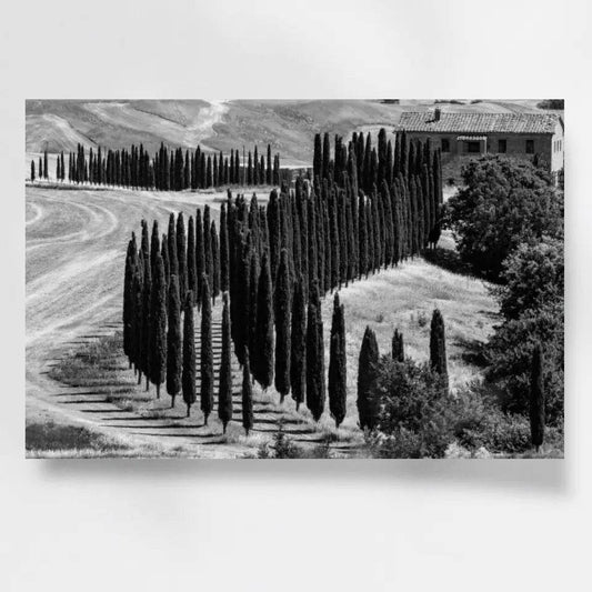 Zeitloses Toskana Säulenzypressen Wandbild: Hol Dir den ländlichen Charme ins Haus! - posterfolio.de