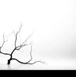 Panoramabilder kaufen für eine inspirierende Wandgestaltung - posterfolio.de