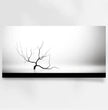 Panoramabilder kaufen für eine inspirierende Wandgestaltung - posterfolio.de