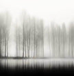 Mystische Waldszene: Panorama-Wandbilder für Ruhe und Eleganz - posterfolio.de