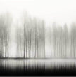 Mystische Waldszene: Panorama-Wandbilder für Ruhe und Eleganz - posterfolio.de
