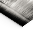 Mystische Waldszene: Panorama-Wandbilder für Ruhe und Eleganz - posterfolio.de