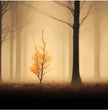 Panorama Wandbilder mit kontrastreicher Naturpracht entdecken - posterfolio.de