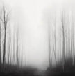 Mystische Waldmomente: Faszinierende Panoramabilder für Dein Zuhause - posterfolio.de