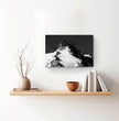 Majestätisches Großglockner Wandbild: Dein alpiner Blickfang in Schwarz-Weiß! - posterfolio.de