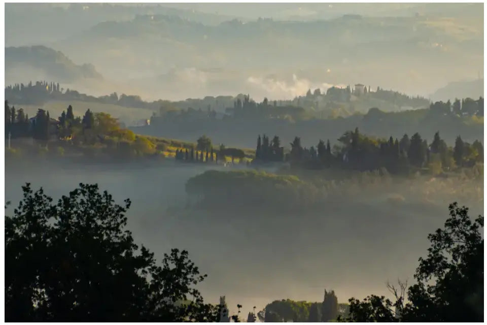 Toskana Wandbild: Sanfte Hügel und Nebelmorgen bei San Gimignano