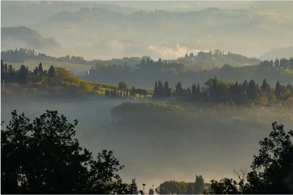 Toskana Wandbild: Sanfte Hügel und Nebelmorgen bei San Gimignano