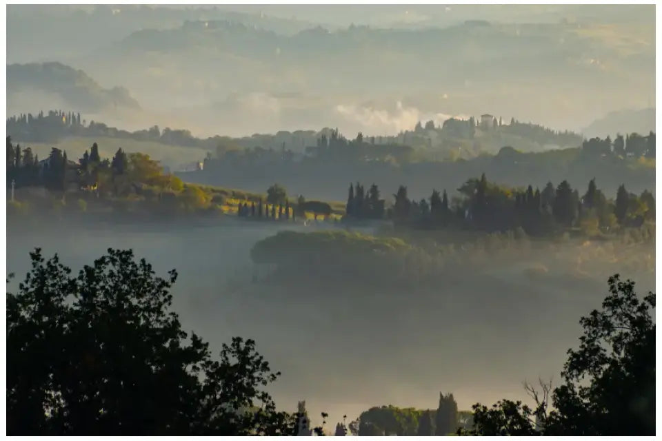 Toskana Wandbild: Sanfte Hügel und Nebelmorgen bei San Gimignano