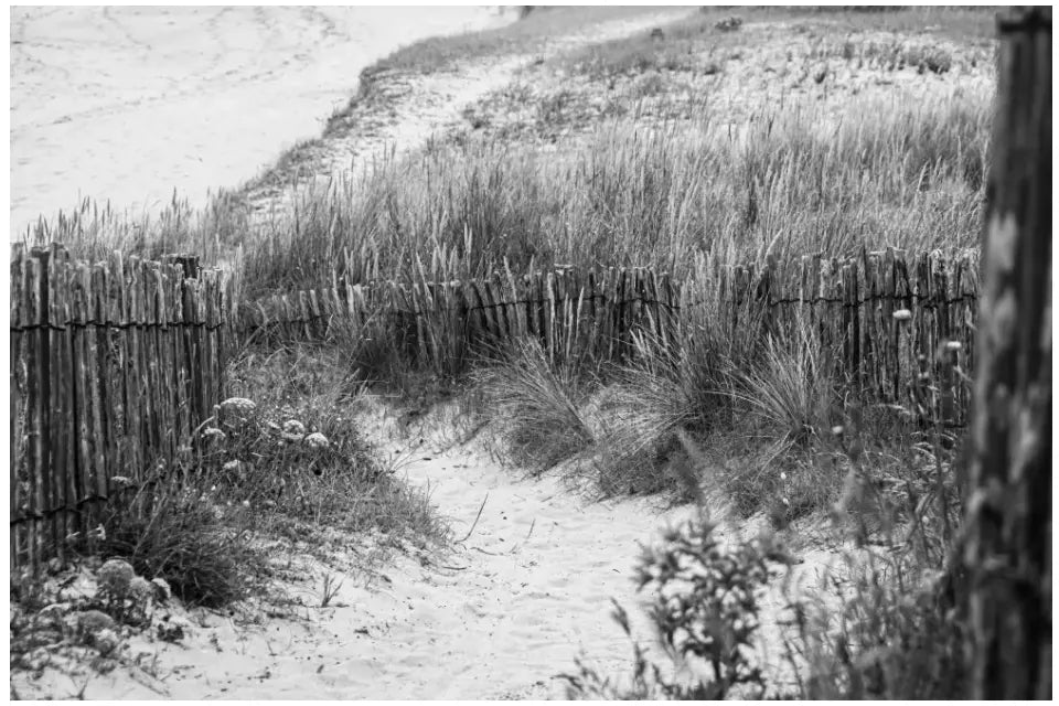 Bretagne Wandbild: Zeitlose Strandlandschaft in Schwarz-Weiß