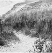 Bretagne Wandbild: Zeitlose Strandlandschaft in Schwarz-Weiß