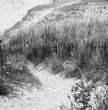 Bretagne Wandbild: Zeitlose Strandlandschaft in Schwarz-Weiß