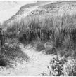 Bretagne Wandbild: Zeitlose Strandlandschaft in Schwarz-Weiß