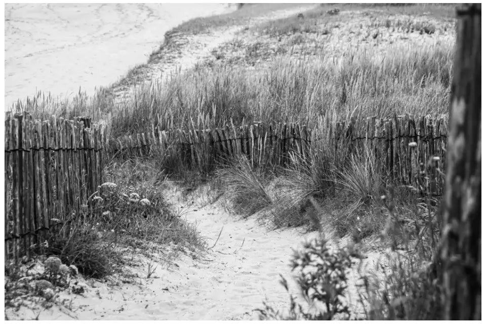 Bretagne Wandbild: Zeitlose Strandlandschaft in Schwarz-Weiß