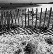 Zaun am Strand Wandbild: Stille der Bretagne in Schwarz-Weiß