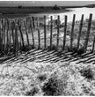 Zaun am Strand Wandbild: Stille der Bretagne in Schwarz-Weiß