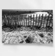 Zaun am Strand Wandbild: Stille der Bretagne in Schwarz-Weiß - posterfolio.de