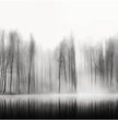 Dein ruhiger Wald im Nebel: Personalisiertes Panoramabild! - posterfolio.de