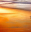 Romantische Panoramabilder – Einzigartige Strandszenen für dein Zuhause - posterfolio.de